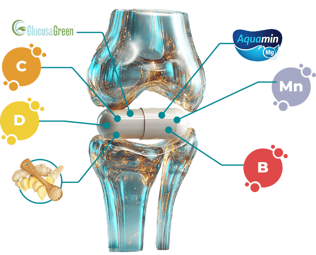Ilustrácia kĺbov s vitamínmi a minerálmi